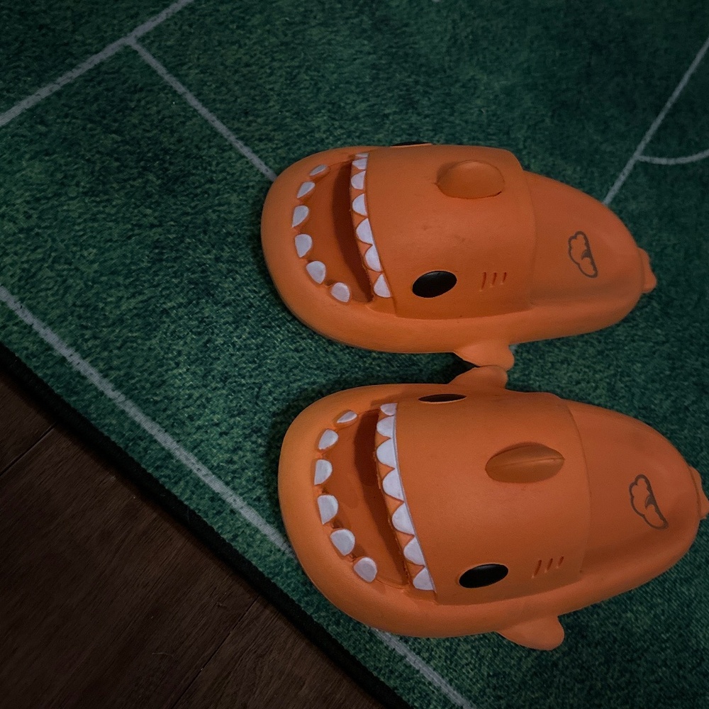 Orange surf shark slides